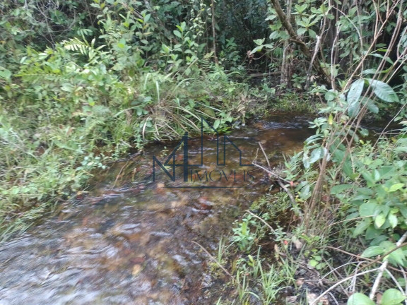 Imagem Fazenda à Venda, 29 m² em Almas - Arraias Imagem Fazenda à Venda, 29 m² em Almas - Arraias