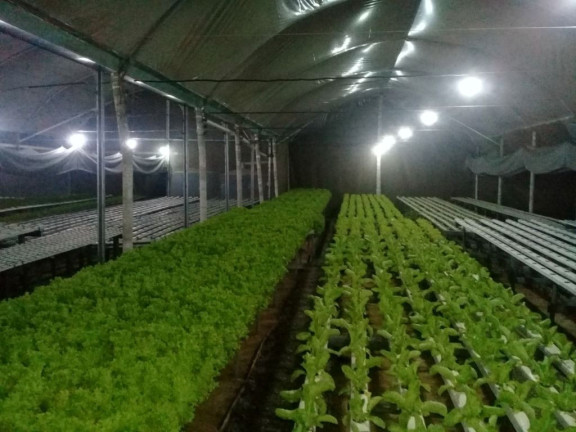 Imagem Fazenda à Venda, 160 m² em Itapety - Mogi Das Cruzes Imagem Fazenda à Venda, 160 m² em Itapety - Mogi Das Cruzes