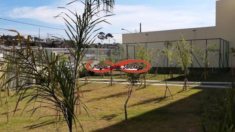 Imagem Apartamento com 2 Quartos à Venda, 50 m² em Jardim Paraguaçu - São Paulo
