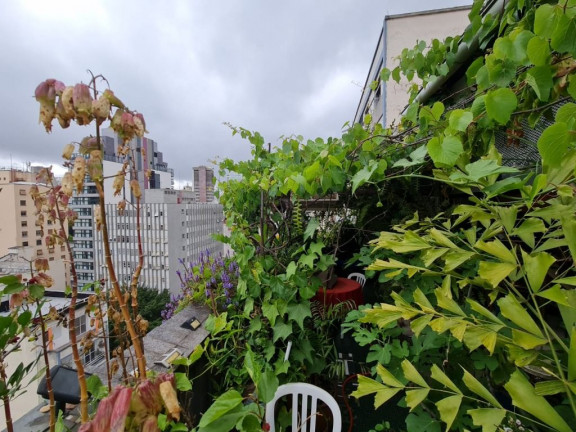 Imagem Cobertura com 2 Quartos à Venda, 136 m² em Higienópolis - São Paulo Imagem Cobertura com 2 Quartos à Venda, 136 m² em Higienópolis - São Paulo