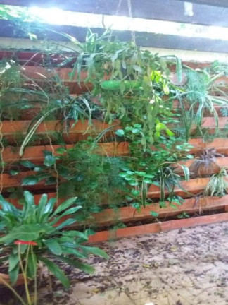 Imagem Imóvel com 3 Quartos à Venda, 5.018 m² em Caputera - Sorocaba Imagem Imóvel com 3 Quartos à Venda, 5.018 m² em Caputera - Sorocaba