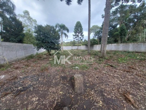 Imagem Terreno à Venda, em Planta Meireles - Piraquara Imagem Terreno à Venda, em Planta Meireles - Piraquara