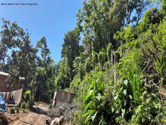 Imagem Imóvel com 2 Quartos à Venda, 50 m² em Linha Pirajá Baixa - Nova Petrópolis Imagem Imóvel com 2 Quartos à Venda, 50 m² em Linha Pirajá Baixa - Nova Petrópolis
