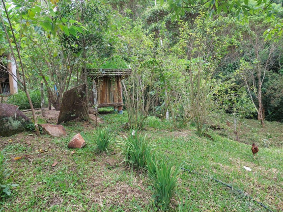 Imagem Chácara com 5 Quartos à Venda, 256 m² em Papucaia - Cachoeiras De Macacu