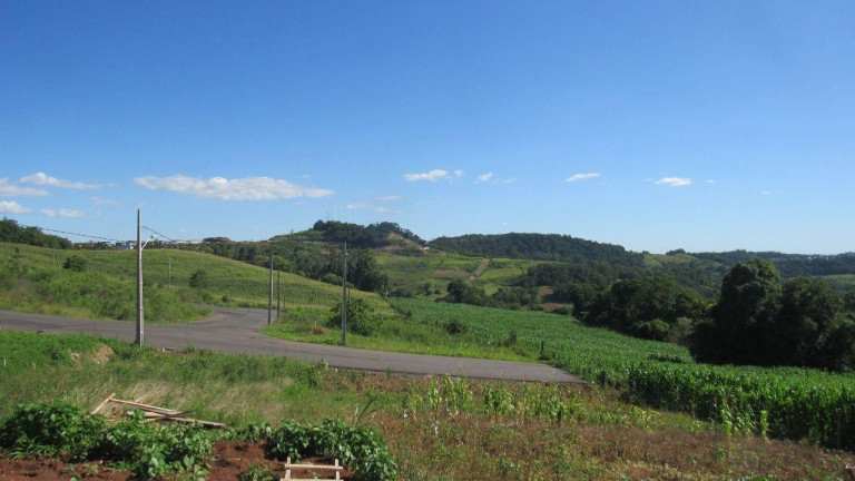 Imagem Terreno à Venda, 400 m² em Interior - Concórdia Imagem Terreno à Venda, 400 m² em Interior - Concórdia
