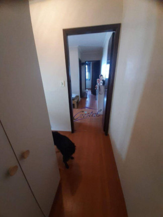 Imagem Casa com 3 Quartos à Venda, 125 m² em Butantã - São Paulo Imagem Casa com 3 Quartos à Venda, 125 m² em Butantã - São Paulo