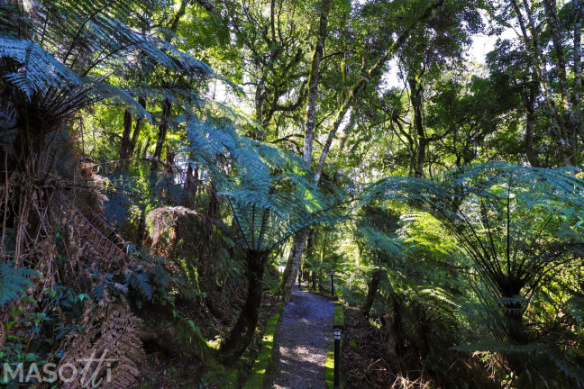 Imagem Terreno à Venda, 1.220 m² em Mato Queimado - Gramado Imagem Terreno à Venda, 1.220 m² em Mato Queimado - Gramado