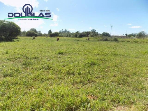 Imagem Terreno à Venda, 1.100 m² em águas Claras - Viamão