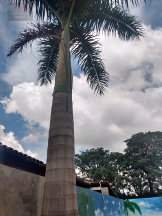 Imagem Imóvel com 4 Quartos à Venda, 1.000 m² em Chácaras Novo México - Limeira Imagem Imóvel com 4 Quartos à Venda, 1.000 m² em Chácaras Novo México - Limeira