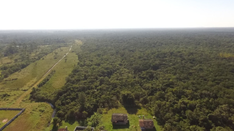 Imagem Terreno à Venda, 110.507 m² em Corveta - Araquari Imagem Terreno à Venda, 110.507 m² em Corveta - Araquari