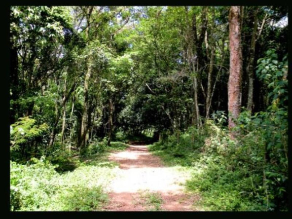 Imagem Fazenda à Venda, 940 m² em Dos Silva - Morungaba Imagem Fazenda à Venda, 940 m² em Dos Silva - Morungaba