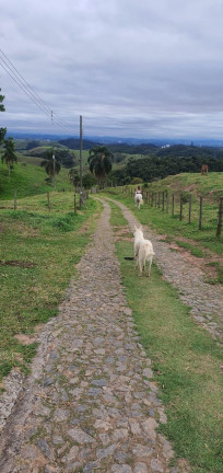 Imagem Chácara com 3 Quartos à Venda, 640 m² em Sítio Casarão - Jacareí