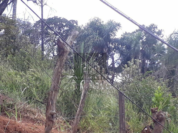 Imagem Terreno à Venda, 26.000 m² em Recanto Maravilha Iii - Santana De Parnaíba Imagem Terreno à Venda, 26.000 m² em Recanto Maravilha Iii - Santana De Parnaíba