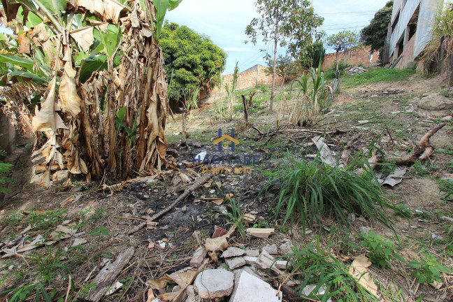 Imagem Terreno à Venda, 374 m² em Palmares - 1ª Seção (parque Durval De Barros) - Ibirité Imagem Terreno à Venda, 374 m² em Palmares - 1ª Seção (parque Durval De Barros) - Ibirité
