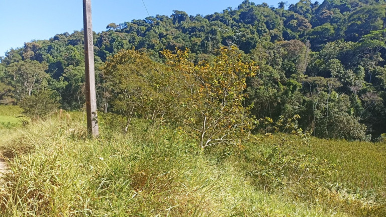 Imagem Chácara com 1 Quarto à Venda, 200 m² em Mirandão - Paraibuna