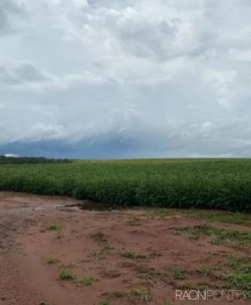 Imagem Fazenda à Venda, 2.032.800 m² em Zona Rural - Guaraci Imagem Fazenda à Venda, 2.032.800 m² em Zona Rural - Guaraci