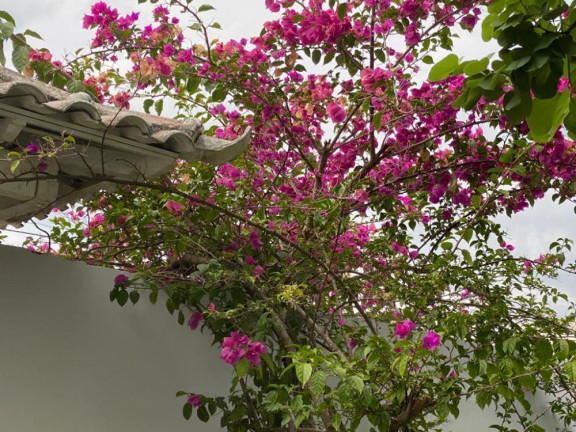 Imagem Casa com 3 Quartos para Alugar,  em Guaratiba - Rio De Janeiro