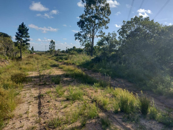 Imagem Terreno à Venda, 20.000 m² em Alto Perequê - Arroio Do Padre