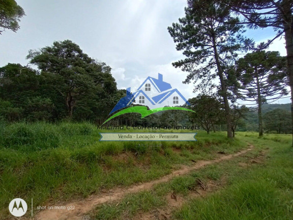 Imagem Terreno à Venda, 48 m² em Terra Preta - Mairiporã Imagem Terreno à Venda, 48 m² em Terra Preta - Mairiporã