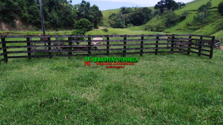Imagem Fazenda à Venda, 65 m² em Centro - Cunha Imagem Fazenda à Venda, 65 m² em Centro - Cunha