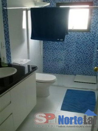 Imagem Apartamento com 4 Quartos à Venda, 270 m² em Parque Mandaqui - São Paulo Imagem Apartamento com 4 Quartos à Venda, 270 m² em Parque Mandaqui - São Paulo