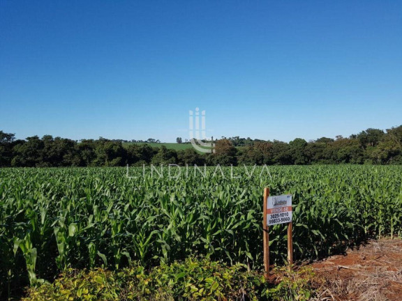 Imagem Fazenda à Venda, 10.649 m² em Cognópolis - Foz Do Iguacu Imagem Fazenda à Venda, 10.649 m² em Cognópolis - Foz Do Iguacu