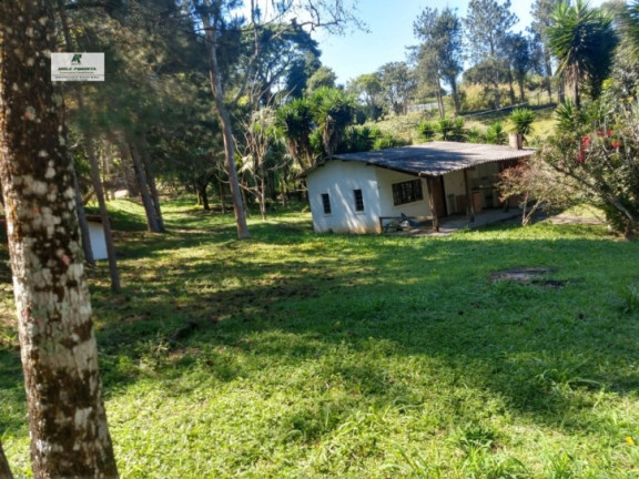 Imagem Chácara com 3 Quartos à Venda, 29.000 m² em Verava - Ibiúna Imagem Chácara com 3 Quartos à Venda, 29.000 m² em Verava - Ibiúna
