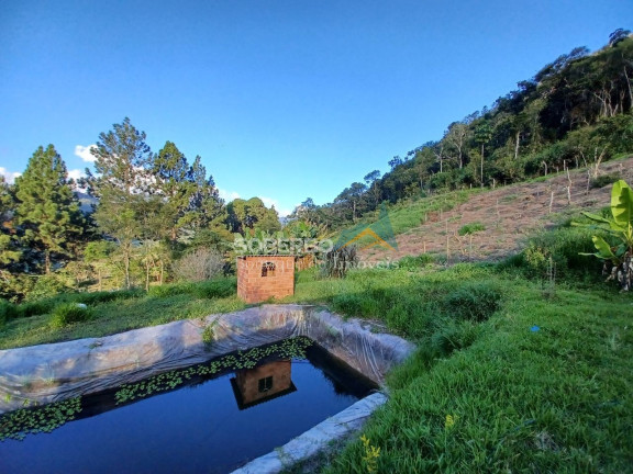 Imagem Imóvel com 1 Quarto à Venda, 123.000 m² em Vieira - Teresópolis Imagem Imóvel com 1 Quarto à Venda, 123.000 m² em Vieira - Teresópolis