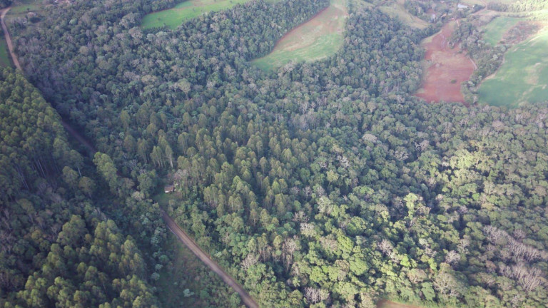 Imagem Terreno à Venda, 49.381 m² em Interior - Concórdia Imagem Terreno à Venda, 49.381 m² em Interior - Concórdia
