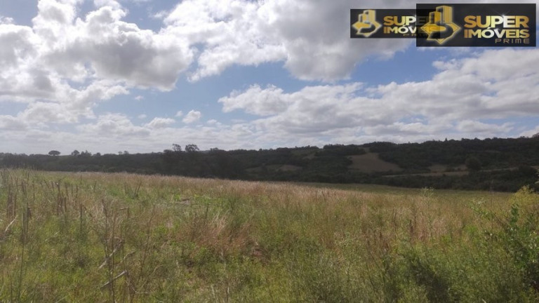 Imagem Imóvel com 2 Quartos à Venda, 240.000 m² em Centro - Morro Redondo