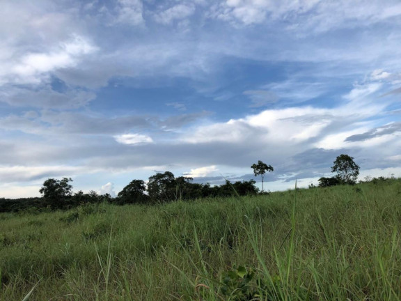Imagem Fazenda à Venda,  em Rural - Figueirópolis