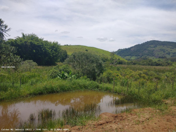 Imagem Chácara com 1 Quarto à Venda, 2.400 m² em Rio Verde - Caldas Imagem Chácara com 1 Quarto à Venda, 2.400 m² em Rio Verde - Caldas