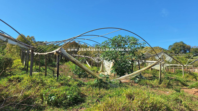 Imagem Chácara à Venda, 80.700 m² em área Rural De Morungaba - Morungaba