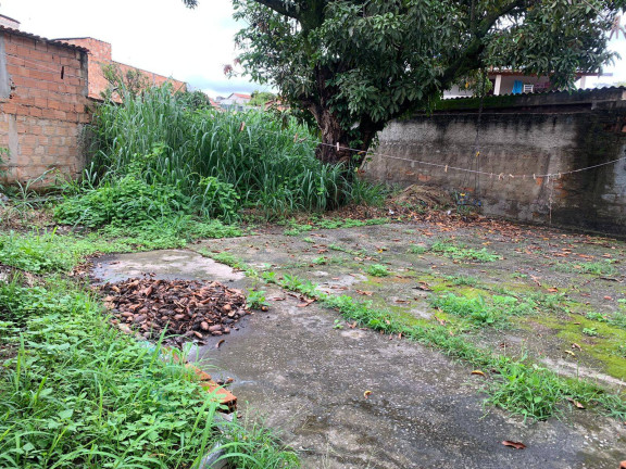 Imagem Casa com 4 Quartos à Venda, 60 m² em Bernardo Monteiro - Contagem Imagem Casa com 4 Quartos à Venda, 60 m² em Bernardo Monteiro - Contagem