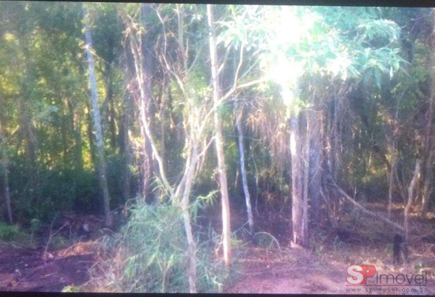 Imagem Terreno à Venda, 10.000 m² em Parque Arariba - São Paulo Imagem Terreno à Venda, 10.000 m² em Parque Arariba - São Paulo