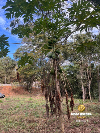 Imagem Terreno à Venda, 6.400 m² em Batatuba - Piracaia Imagem Terreno à Venda, 6.400 m² em Batatuba - Piracaia