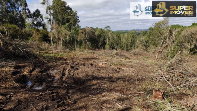 Imagem Imóvel com 2 Quartos à Venda, 580.000 m² em Centro - Canguçu