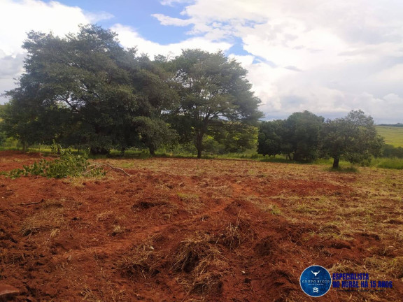 Imagem Terreno à Venda, 1 m² em Zona Rural - Nerópolis Imagem Terreno à Venda, 1 m² em Zona Rural - Nerópolis