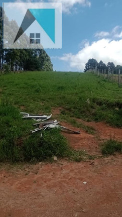 Imagem Chácara à Venda, 2.000 m² em Bairro Santo Expedito - Toledo