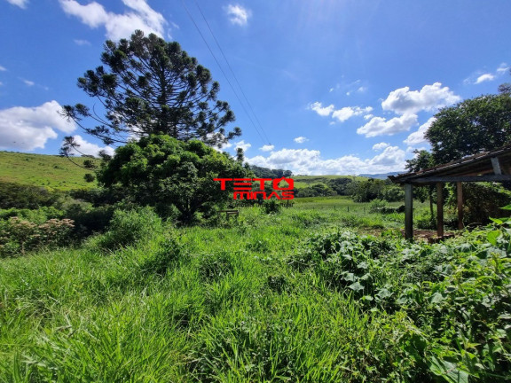 Imagem Imóvel à Venda,  em Zona Rural - Pouso Alto