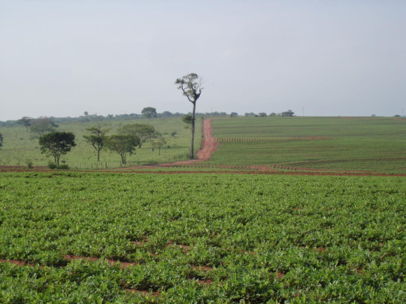 Imóvel à Venda, 340 m² em Presidente Prudente - Zona Rural - Presidente Prudente