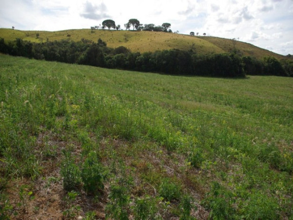 Imagem Imóvel à Venda, 435.600 m² em Zona Rural - Jacui