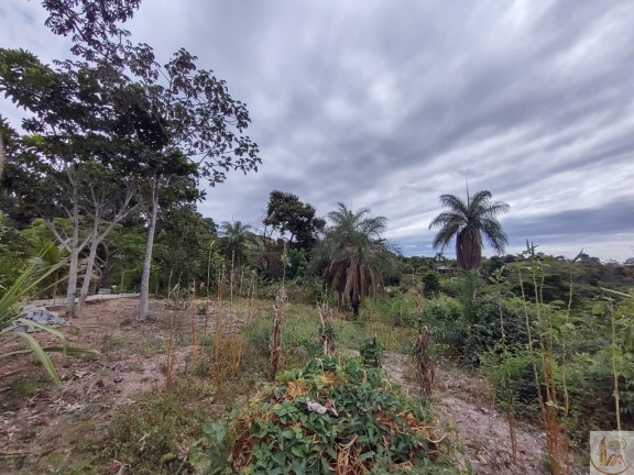 Imagem Terreno à Venda, 7.700 m² em Fazendinha Do Barão - Santa Luzia Imagem Terreno à Venda, 7.700 m² em Fazendinha Do Barão - Santa Luzia
