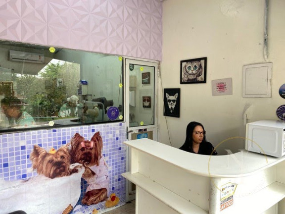 Imóvel com 2 Quartos à Venda, 60 m² em Vila Cardoso Franco - São Paulo