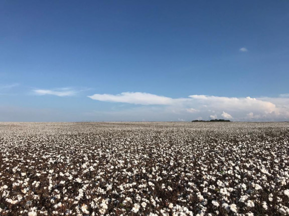 Imagem Fazenda à Venda, 2.178 m² em Rural - Itaí