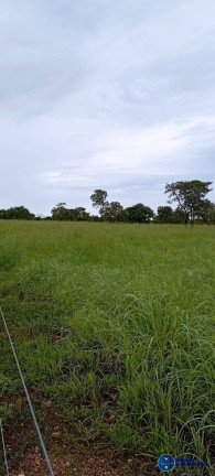 Imagem Fazenda à Venda, 294 m² em Zona Rural - Arraias Imagem Fazenda à Venda, 294 m² em Zona Rural - Arraias