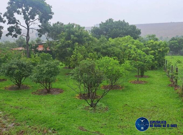 Imagem Chácara à Venda, 55 m² em Zona Rural - Piracanjuba Imagem Chácara à Venda, 55 m² em Zona Rural - Piracanjuba