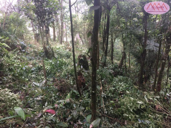 Imagem Terreno à Venda, 1.695 m² em Chácara Carreiras - Santo André