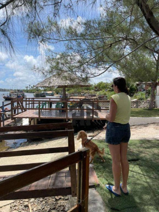 Imagem Casa com 3 Quartos à Venda, 154 m² em Barra De Jangada - Jaboatão Dos Guararapes Imagem Casa com 3 Quartos à Venda, 154 m² em Barra De Jangada - Jaboatão Dos Guararapes