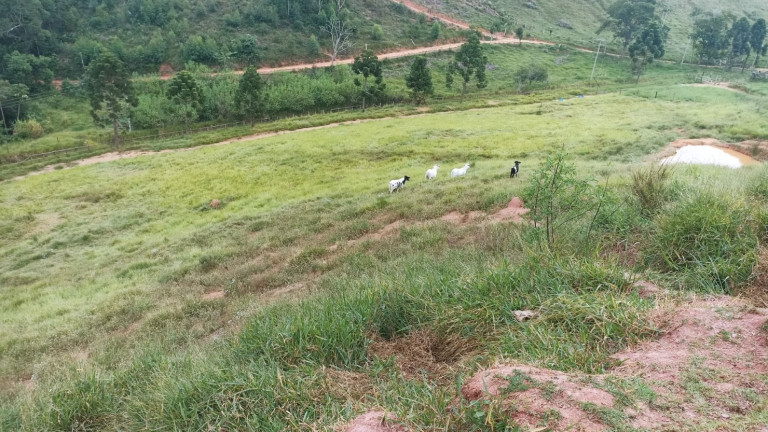 Imagem Chácara com 4 Quartos à Venda, 500 m² em Centro - Paraibuna